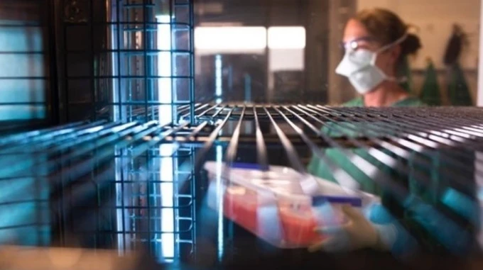 Новий тип вакцини проти Covid: стартували клінічні випробування