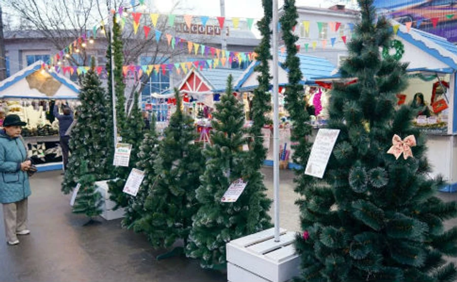 В окупованому Криму продають прикарпатські ялинки – ЗМІ