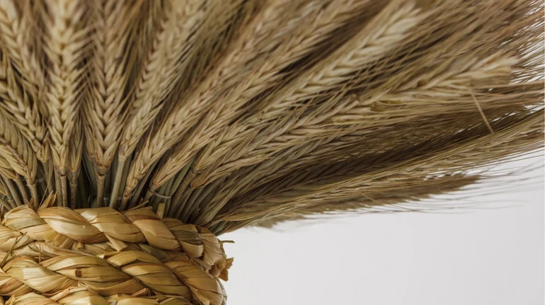 Дідух, Рай чи Сніп. Що символізує головна українська окраса Різдва і які традиції з нею пов'язані?