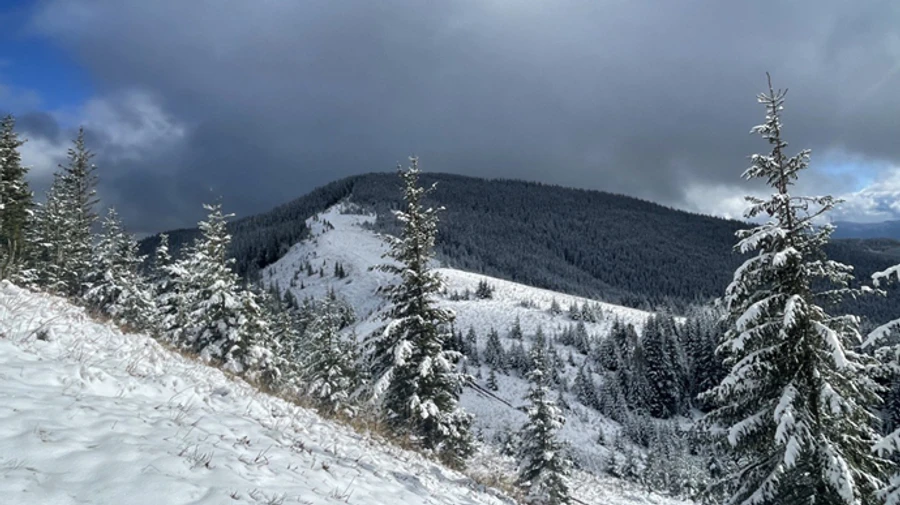Вдень сонце, а вночі – мороз: синоптики попереджають про дощі та ожеледицю