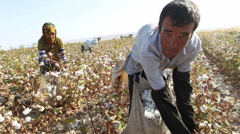 White and fluffy death. How Uzbekistan and Kazakhstan help Russians produce gunpowder