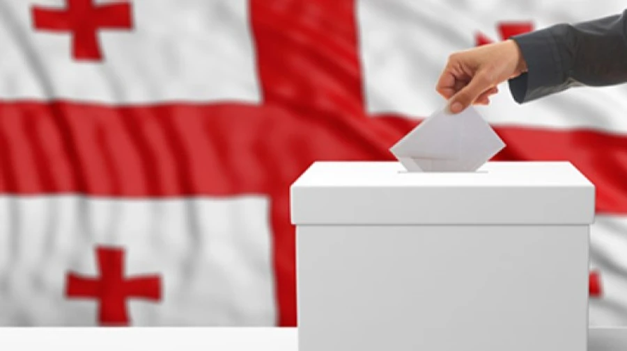 На выборах в Грузии проголосовали более 50 процентов избирателей