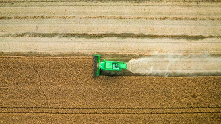 Теневой рынок земли: наиболее распространенные схемы хищения