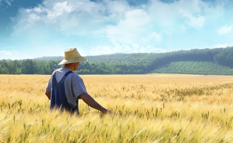 Порошенко подписал антирейдерский земельный закон