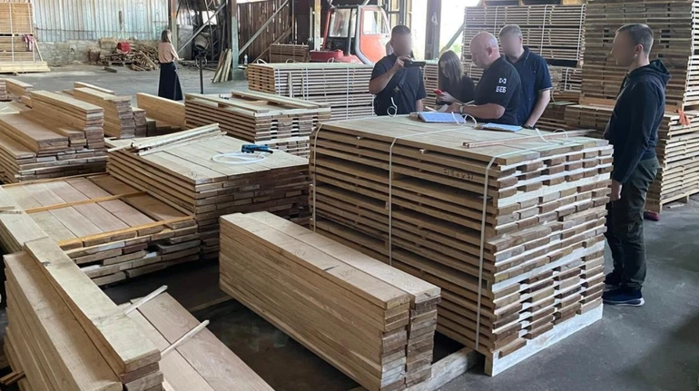 У Києві ліквідували багаторічну схему тіньового експорту деревини