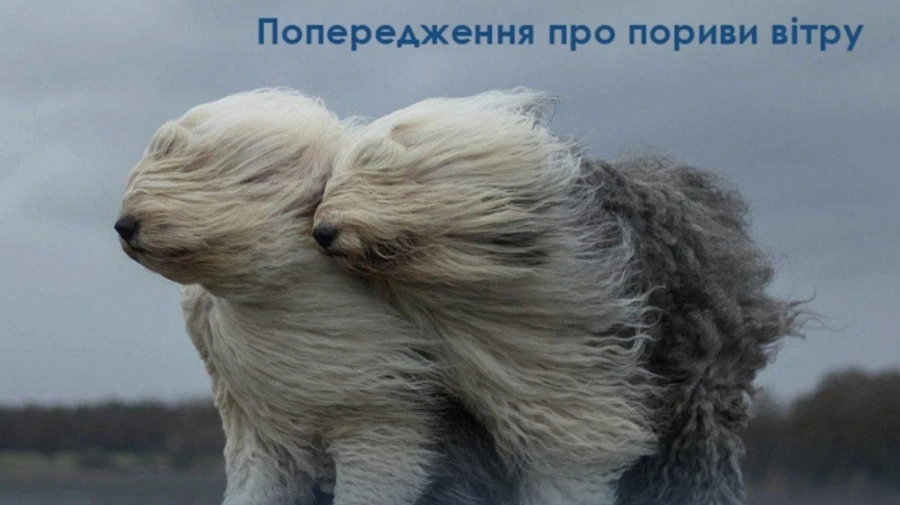 В пятницу 13-го ухудшится погода – порывы ветра