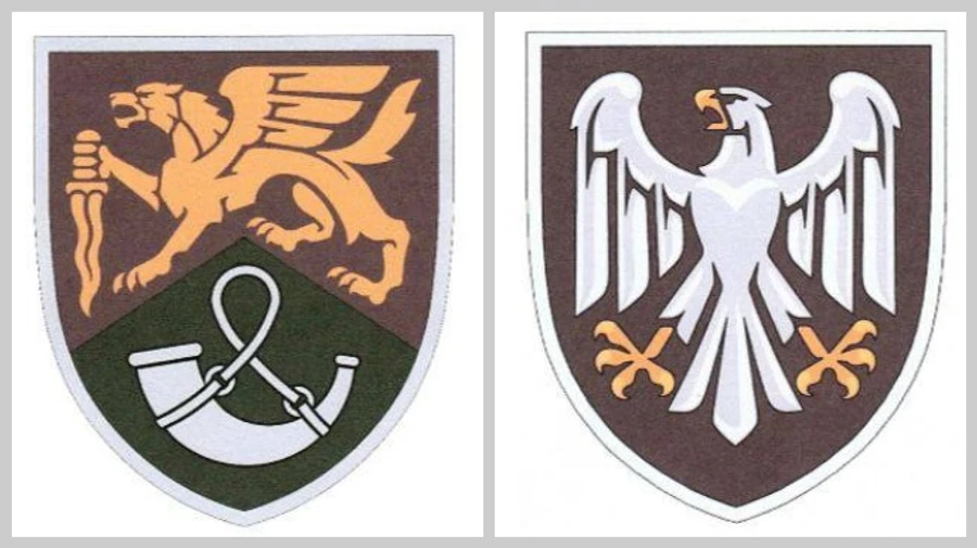 Two Ukrainian air assault brigades get new insignias