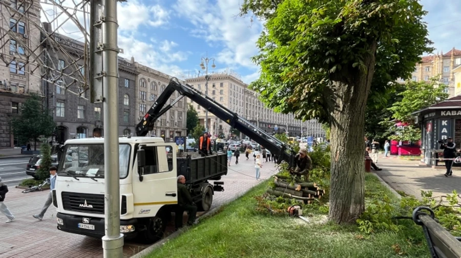 Ветер повалил дерево возле станции метро Крещатик в Киеве