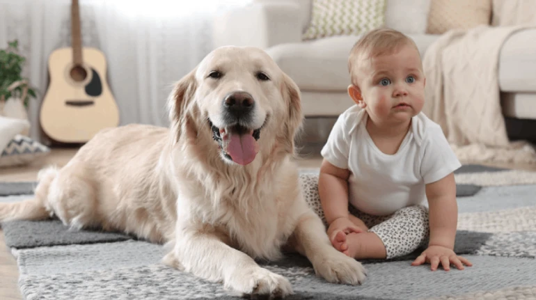 Як підготувати домашнього улюбленця до появи маляти в домі? Поради експертів