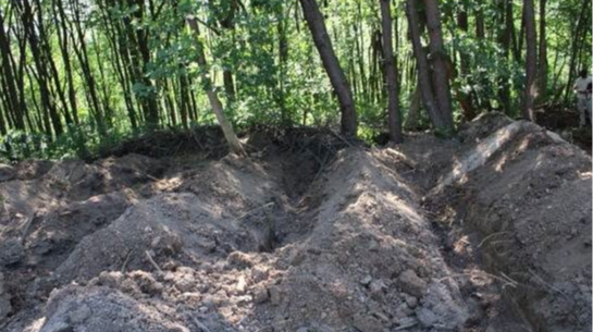 Second phase of search for mass grave of Poles concludes in Puzhnyky, Ternopil Oblast