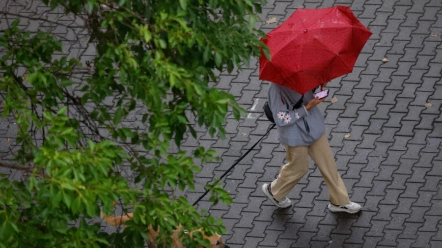 Синоптики прогнозируют в Украине до +24 с дождями и грозами