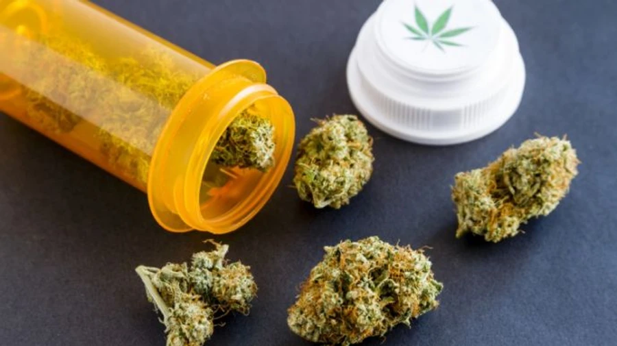 Батьківщина заблокувала підписання легалізації медичного канабісу