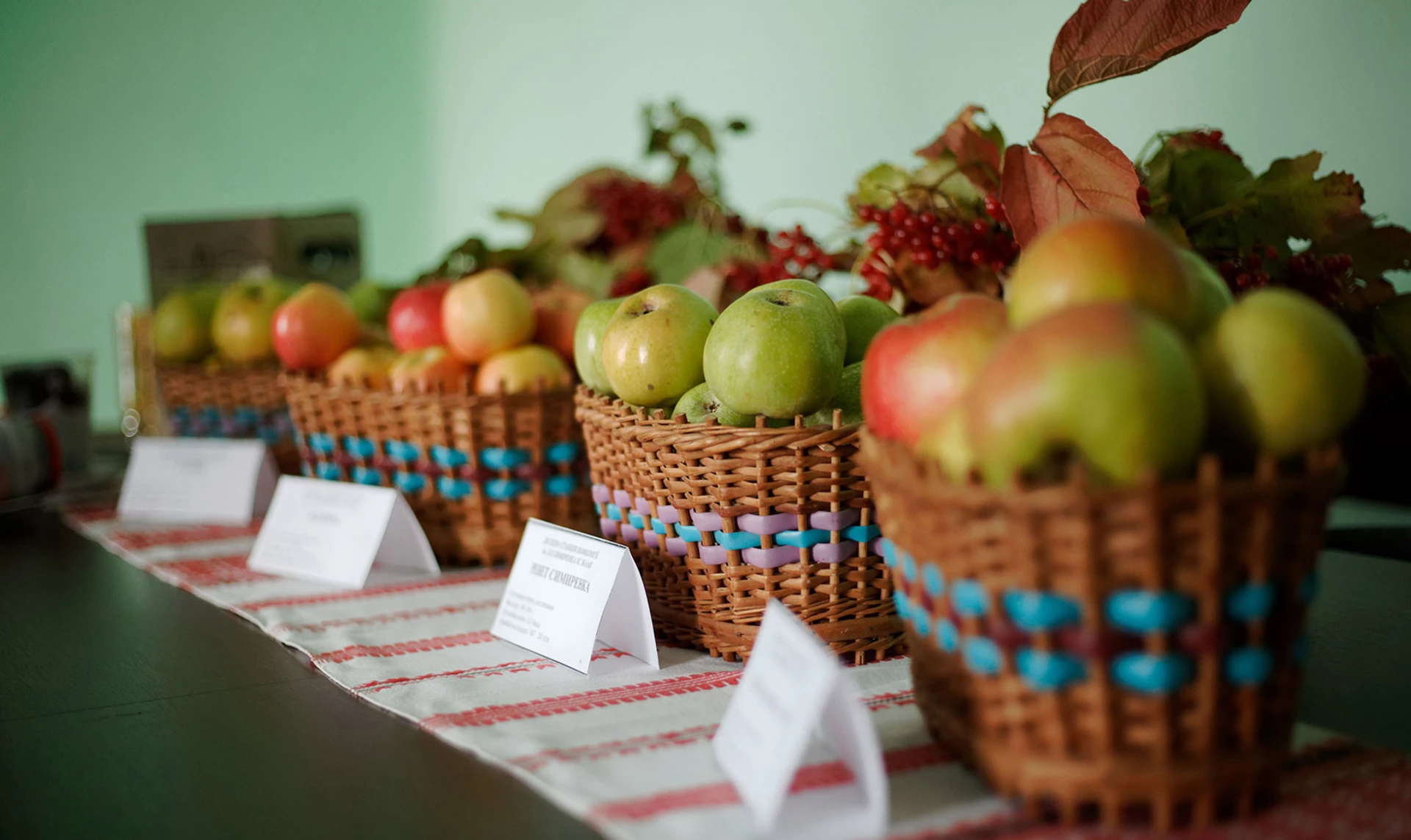 Кто убил Симиренко, или Какой стала яблочная столица Украины Млиев