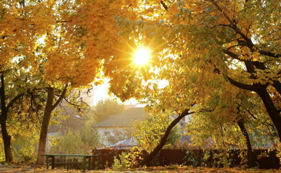 На вихідних українців чекає погодний сюрприз