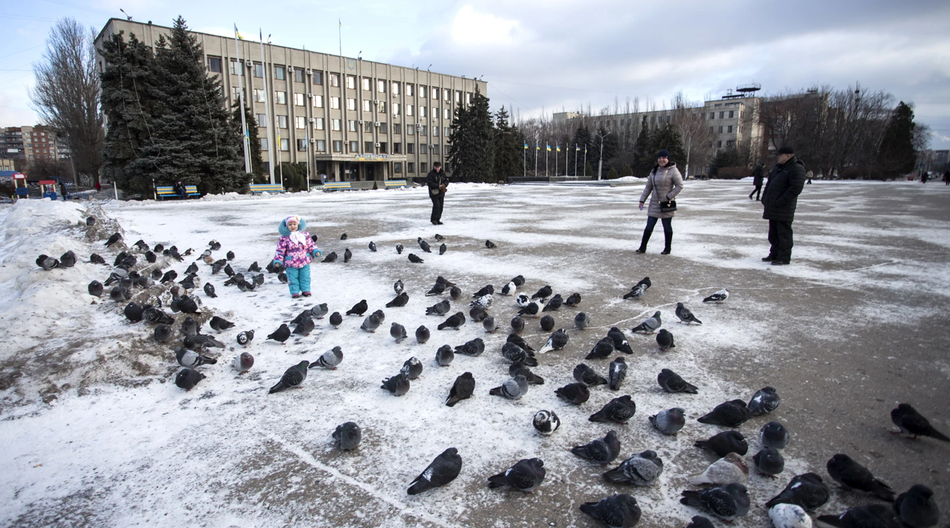 Дорогі виборці. Як працюють приймальні нардепів у звільнених містах Донбасу