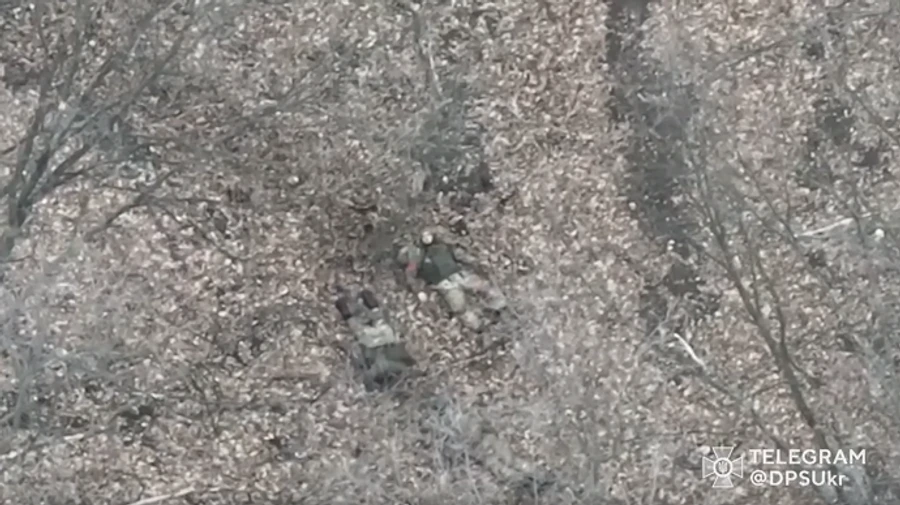 Ukrainian border guards post video of Russian group being neutralised near Bakhmut