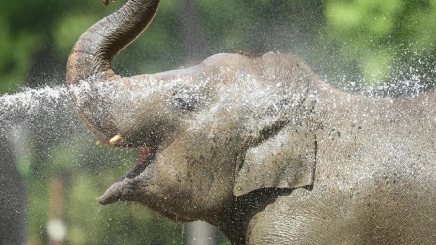 Конец июля будет жарким