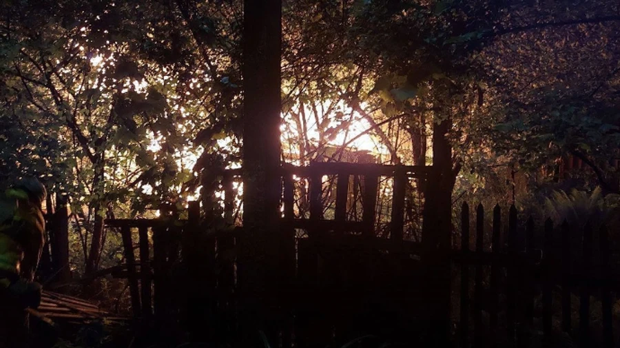 Атака на Киев: из-за попадания обломков загорелись частный дом и автомобили, пострадала женщина