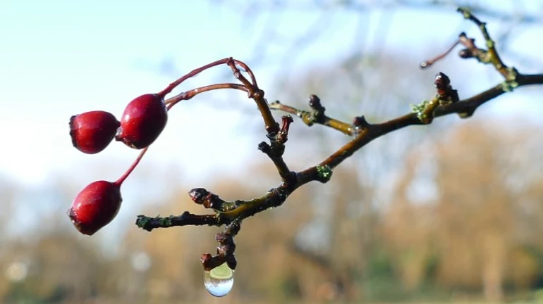 В Украину идет потепление