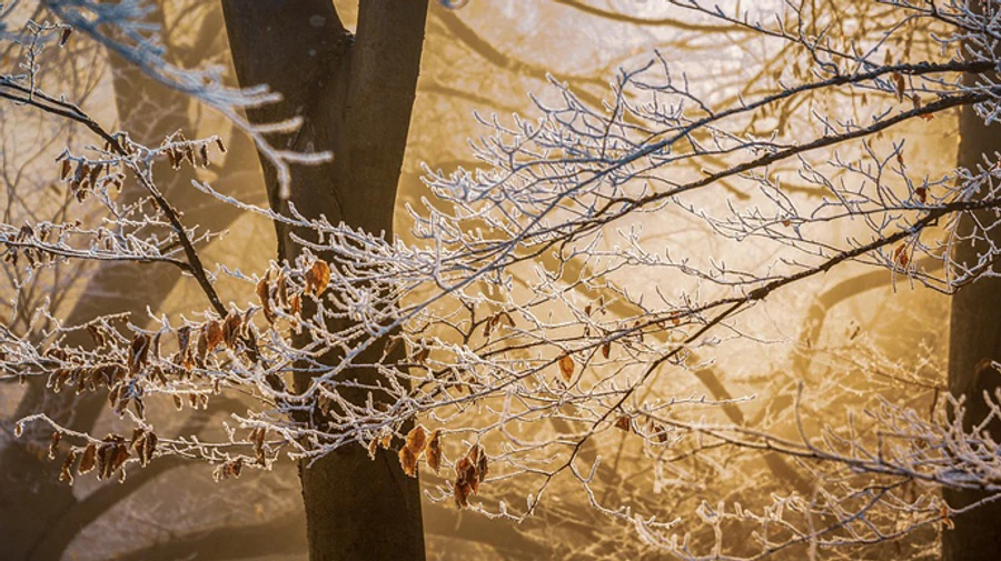 В Україну заходить похолодання – вночі до 11° морозу