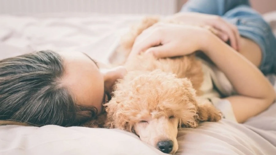 У червні третина днів будуть вихідними