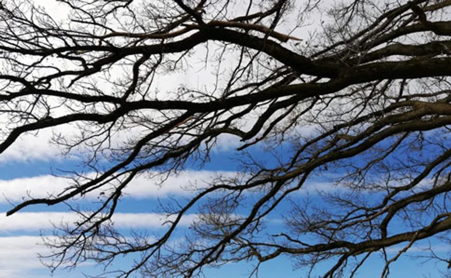 На вихідних можливий сніг: синоптик розповіла, коли чекати потепління