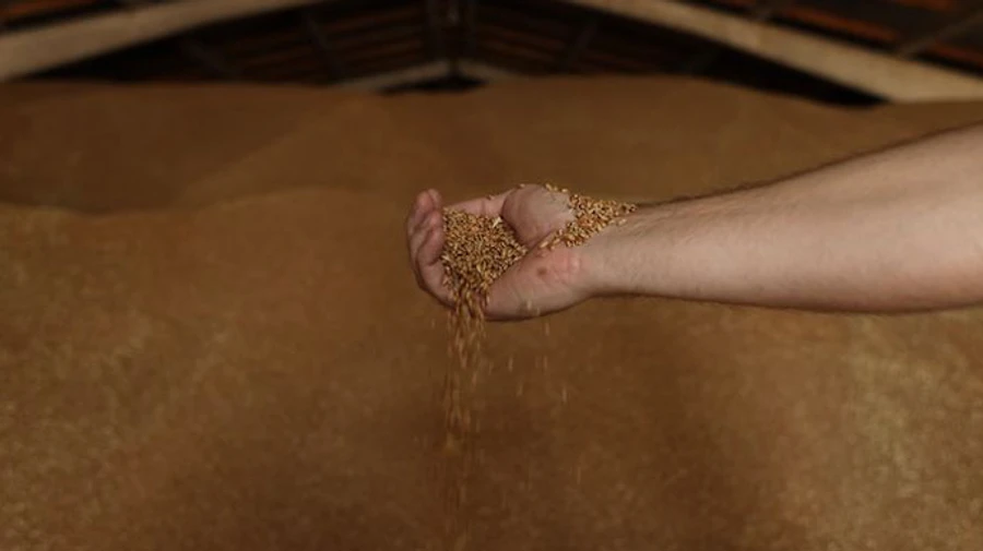 Ukraine offered Lebanon option to purchase barley and flour stolen by Russia – Ukrainian embassy