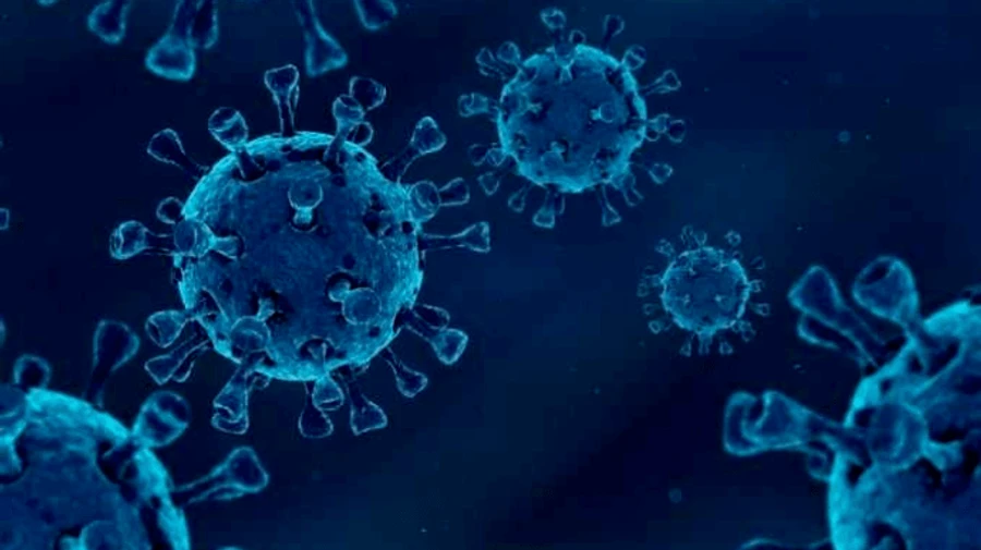 Влада Перу більш ніж удвічі збільшила статистику смертей від коронавірусу