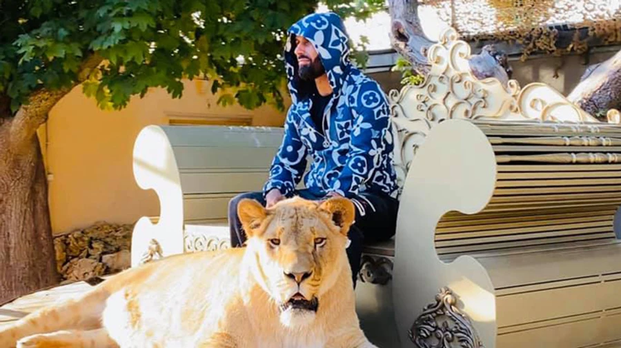 Харьковский депутат задекларировал живого льва