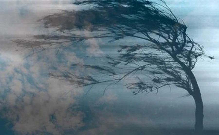 Украинцев предупреждают о штормовом ветре