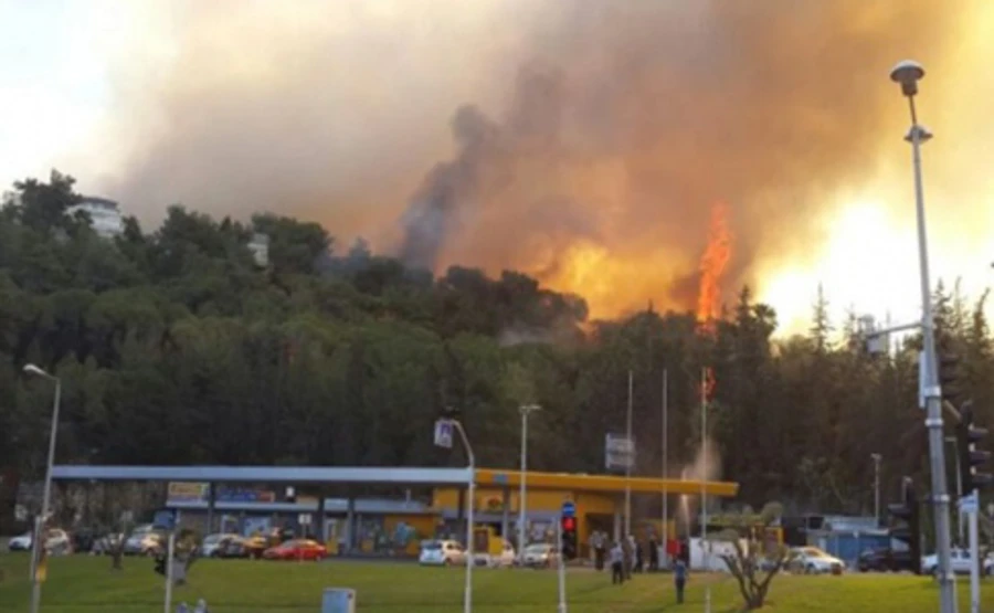 Українців серед постраждалих від пожеж в Ізраїлі немає – МЗС