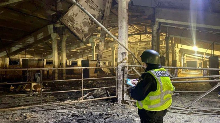 На Чернігівщині росіяни завдали удару по фермі