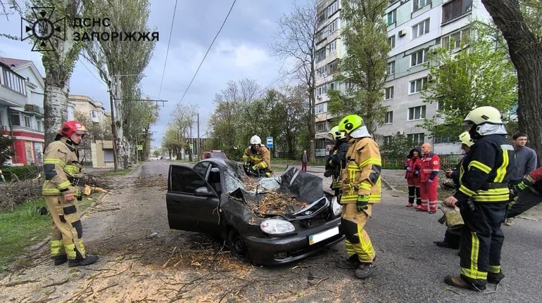 У Запоріжжі через негоду загинув чоловік, у Харкові постраждала жінка