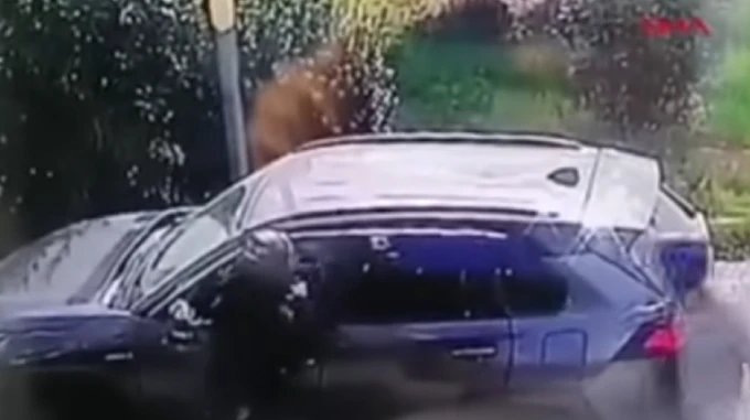 Українець у Туреччині збив на смерть грабіжників