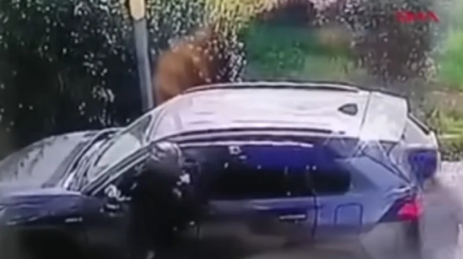 Украинец в Турции сбил насмерть грабителей в Турции