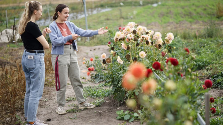Сто кущів троянд у дворі – це не 30 тисяч півоній у полі. Як працює квітковий бізнес B2B: репортаж з ферми під Києвом