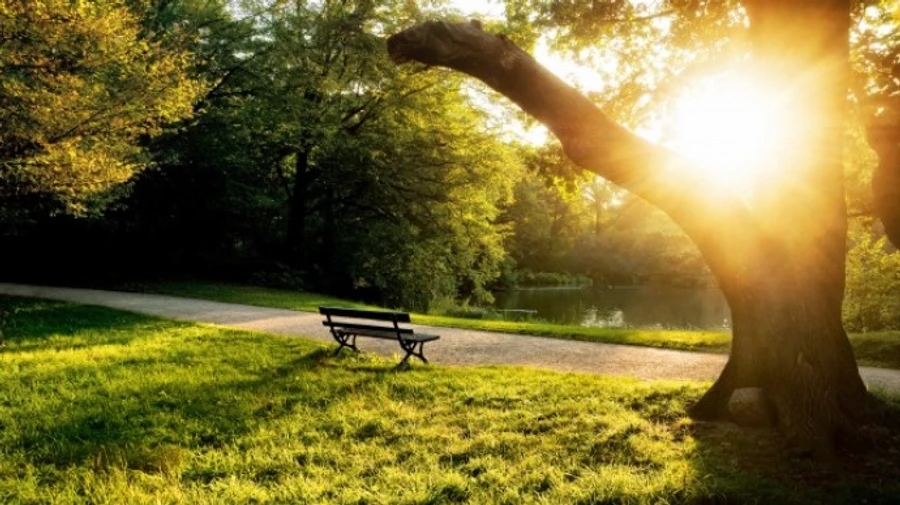 На початку тижня в Україну повернеться тепло