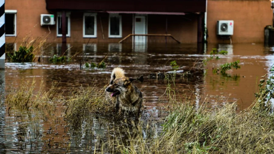 Flood following Russians' destruction of Kakhovka power plant has claimed lives of at least 10 Ukrainians