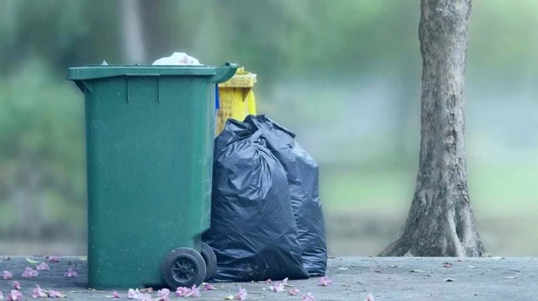 В Германии на мусорке нашли ценные картины 17 века