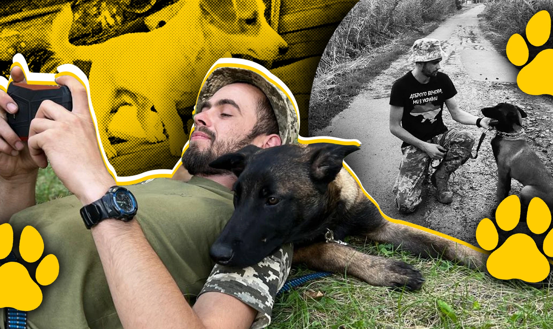 Kil took the worst of the shrapnel and saved my life, but he didn't make it: stories of soldier-dog bonds on the front line