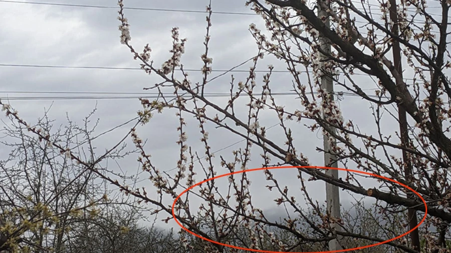 Explosions in Vinnytsia Oblast, fires in Lviv Oblast