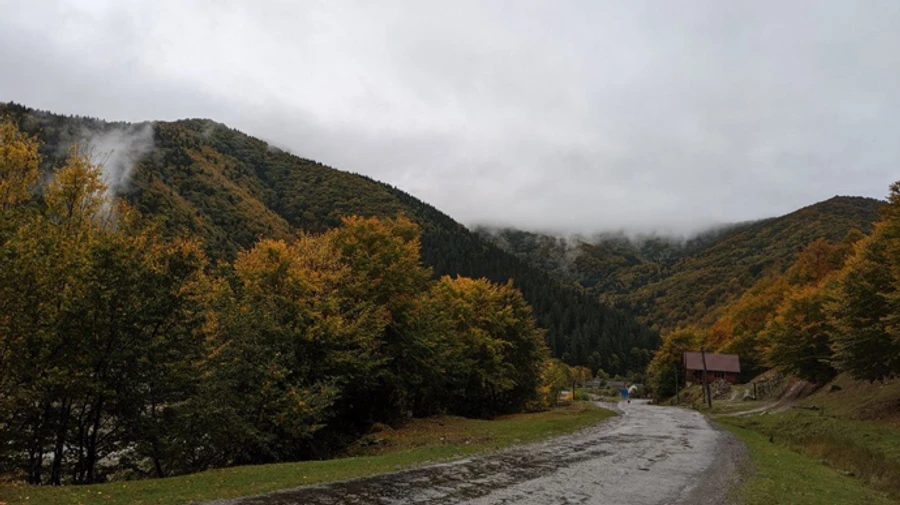 Синоптики попередили про нічний сніг та ожеледицю