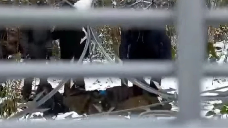 Migrants bring people without signs of life to Latvia's border with Belarus – border guards