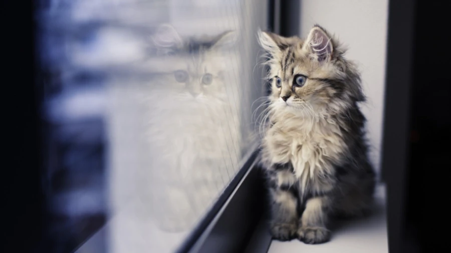 В течение недели температура будет колебаться от -15 до +12