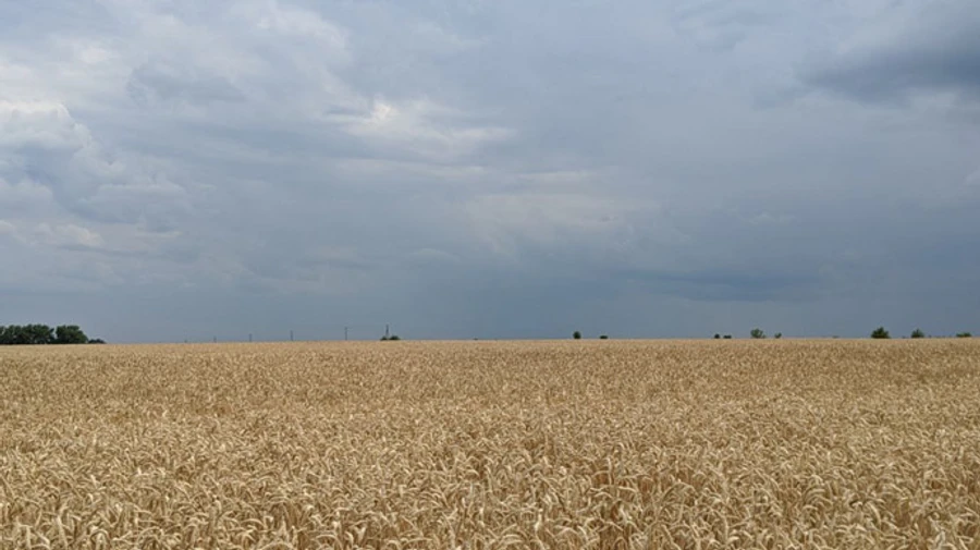 У п’ятницю в Україні збережеться мряка, але на вихідні потепліє