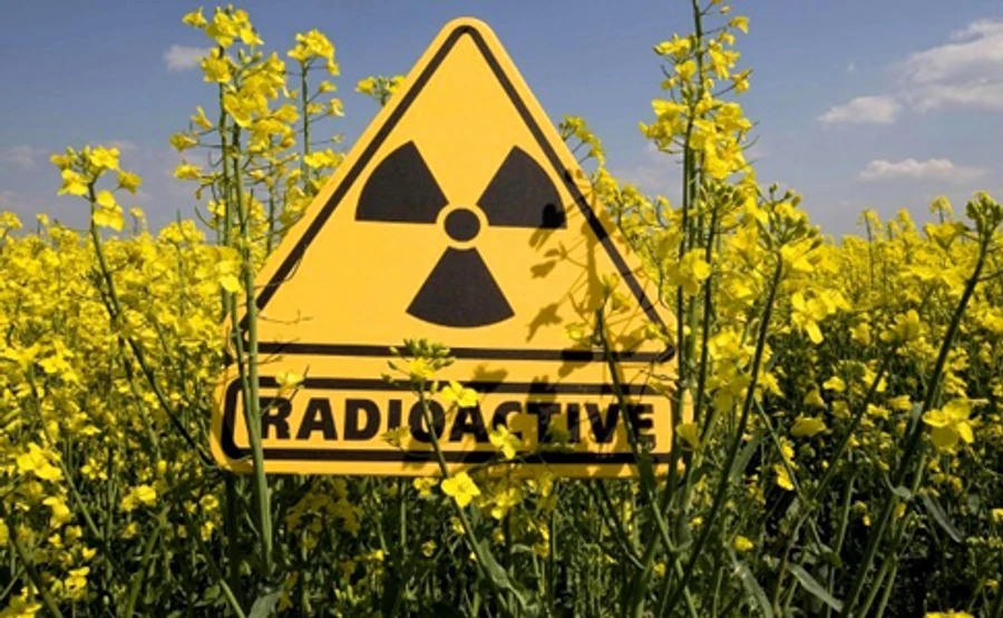 СБУ расследует дело об угрозе радиационного загрязнения Приазовья