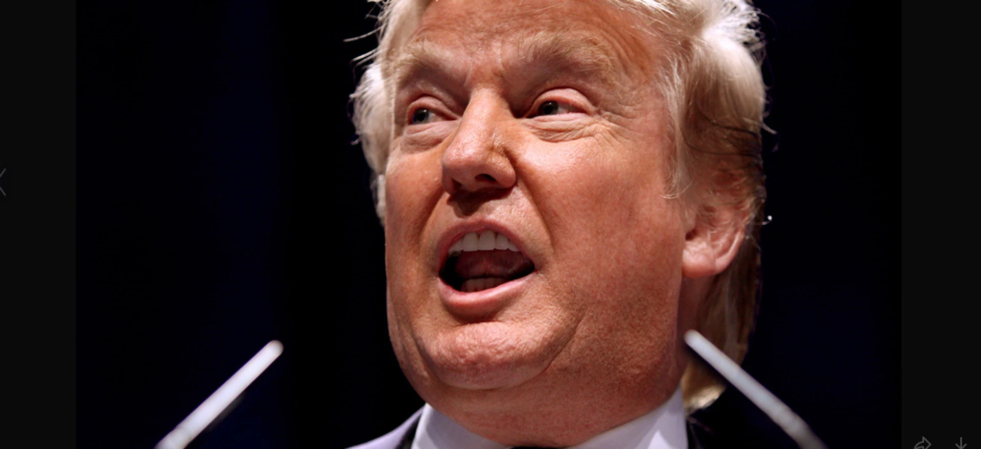 Репортаж з виборів у США. Як українці голосували за Трампа