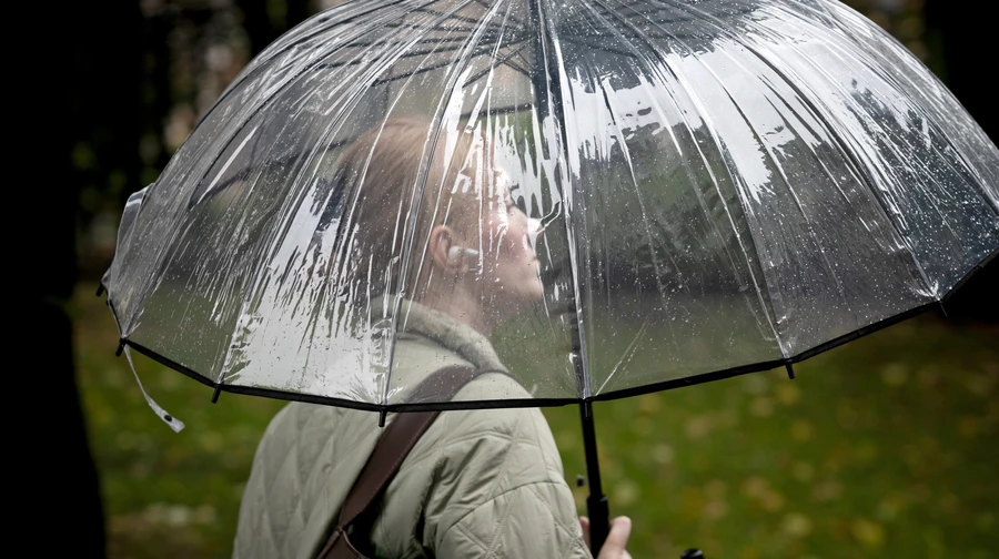 Найближчими днями в Україні дощитиме, на півдні прогнозують грози