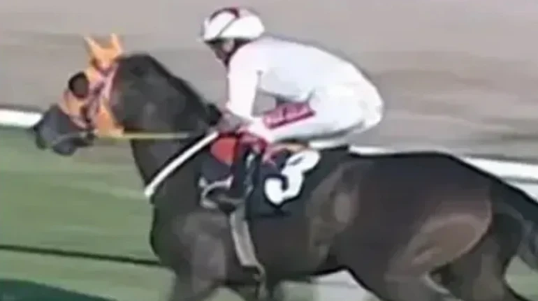 Гучний скандал у кінному спорті: м’ясо чемпіонського скакового коня подали у їдальні в Туреччині