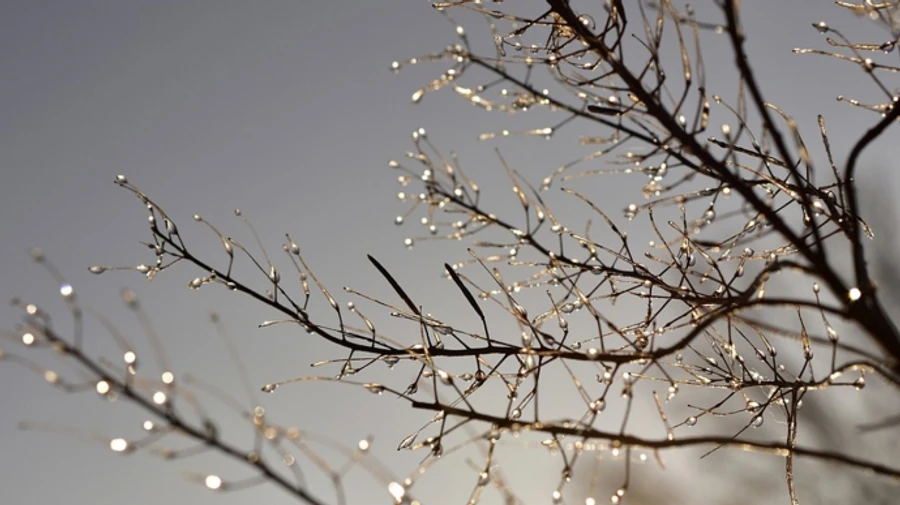 В Україну повернуться дощі і прийде похолодання